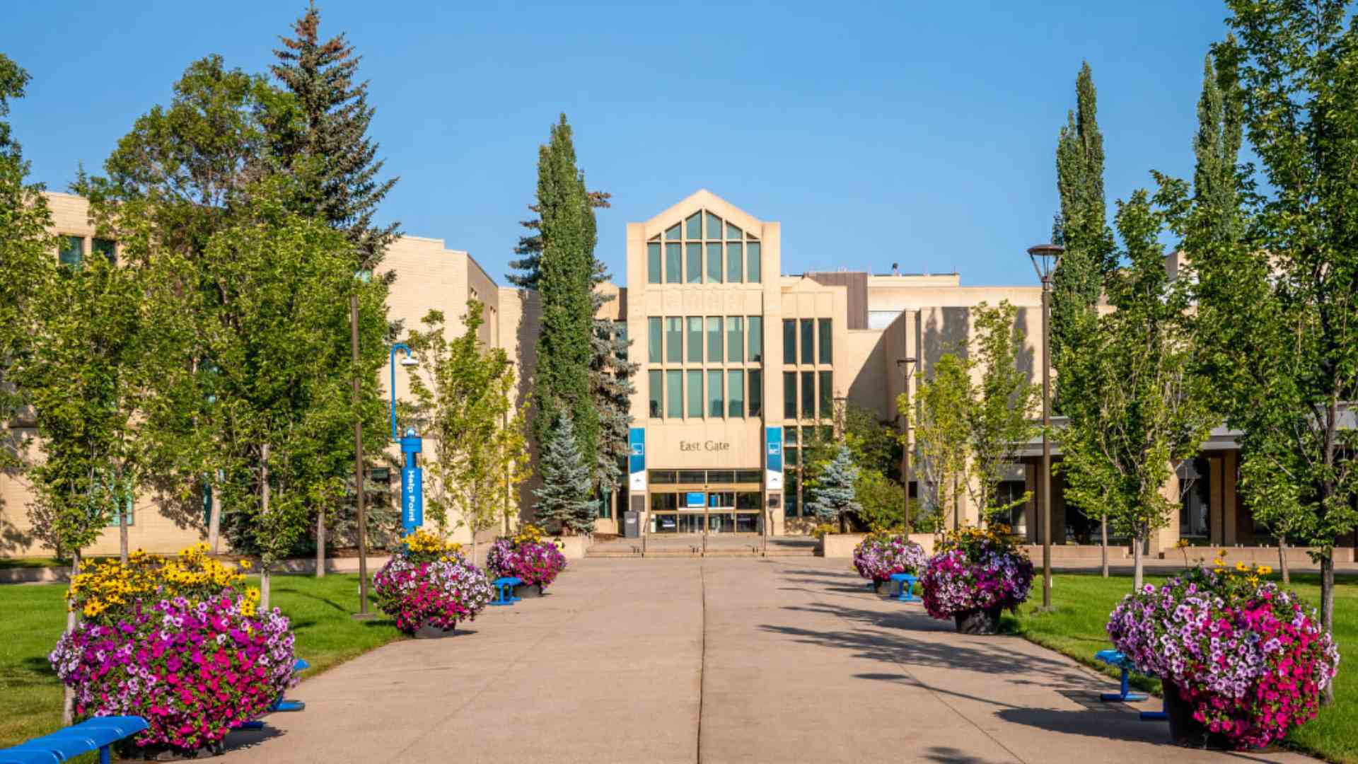 Improving campus security at colleges and universities